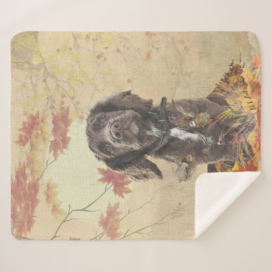 Couverture Sherpa Chien spaniel spaniel cocker au chocolat (Devant (Horizontal))