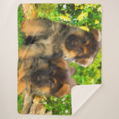 Couverture Sherpa Chiffres allemands (Devant)