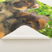 Couverture Sherpa Chiffres allemands (3/4)