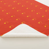 Couverture Sherpa Chine (3/4)