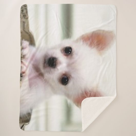 COUVERTURE SHERPA CHIOT DE CHIWAWA (Devant)