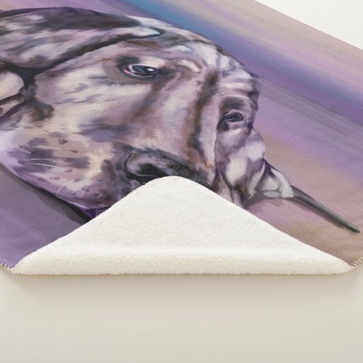 Couverture Sherpa Chiot de l'Harlequin (3/4)