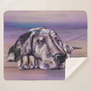 Couverture Sherpa Chiot de l'Harlequin