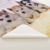 Couverture Sherpa Chiots de chien de traîneau sibérien (3/4)