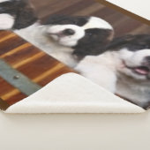 COUVERTURE SHERPA CHIOTS DE ST BERNARD (3/4)