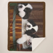 COUVERTURE SHERPA CHIOTS ST-BERNARD (Devant)