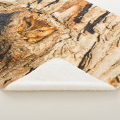 Couverture Sherpa Chouette à cris de l'Est (3/4)