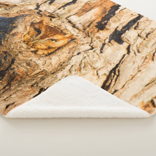 Couverture Sherpa Chouette à cris de l'Est (3/4)