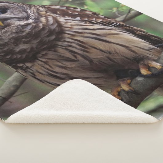 Couverture Sherpa Chouette barrée (3/4)