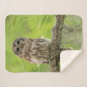 Couverture Sherpa Chouette barrée sur le membre de l'arbre (Devant (Horizontal))