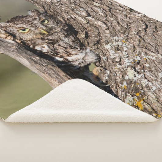 Couverture Sherpa Chouette de l'Est (3/4)