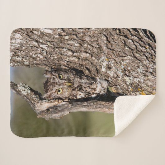 Couverture Sherpa Chouette de l'Est (Devant (Horizontal))