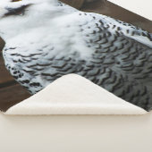 Couverture Sherpa Chouette des neiges sbcnm (3/4)