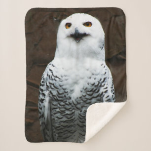Couverture Sherpa Chouette des neiges sbcnm