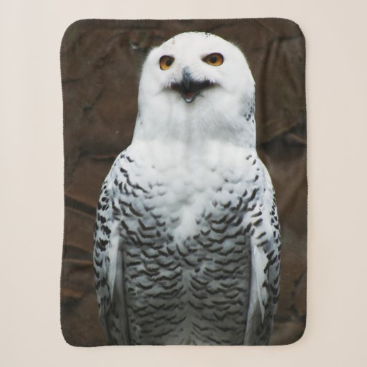 Couverture Sherpa Chouette des neiges sbcnm (Devant)