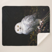 Couverture Sherpa Chouette hivernale majestueuse (Devant (Horizontal))