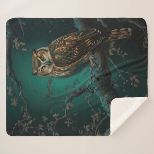 Couverture Sherpa Chouette Imaginaire (Devant (Horizontal))