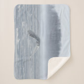 Couverture Sherpa Chouette Neige Volant En Hiver (Devant)