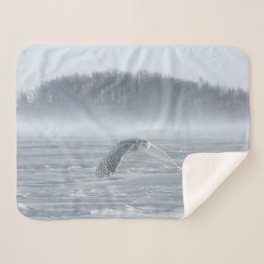 Couverture Sherpa Chouette Neige Volant En Hiver (Devant (Horizontal))