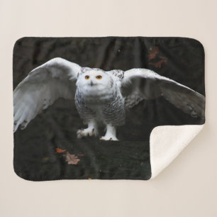 Couverture Sherpa Chouette neigeuse avec ailes ouvertes arc 4