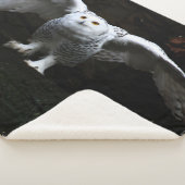 Couverture Sherpa Chouette neigeuse avec ailes ouvertes sbcna (3/4)