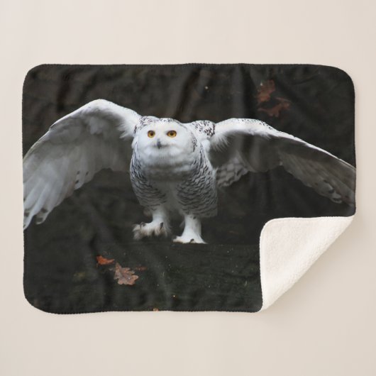 Couverture Sherpa Chouette neigeuse avec ailes ouvertes sbcna (Devant (Horizontal))