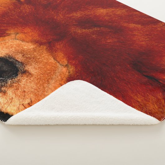 Couverture Sherpa Chow Chow Chow sbcna (3/4)