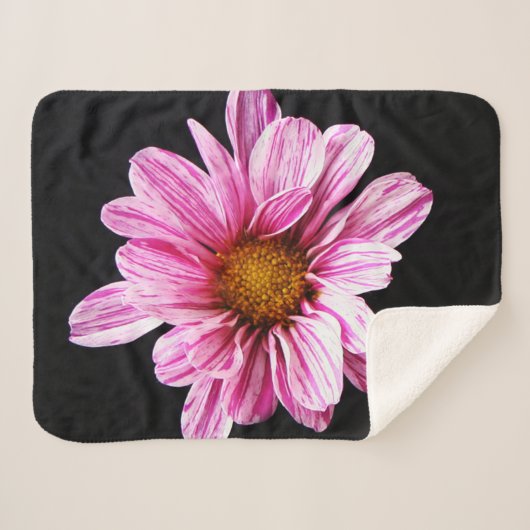 Couverture Sherpa Chrysanthemum Fleur sbcnm (Devant (Horizontal))