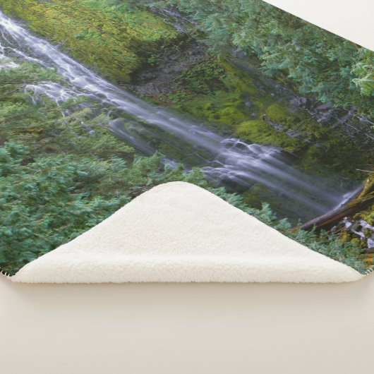 Couverture Sherpa Chutes Proxy inférieures | Forêt nationale de Will (3/4)