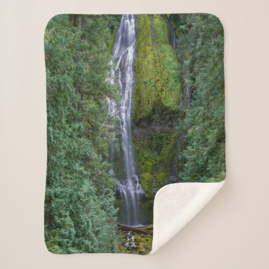 Couverture Sherpa Chutes Proxy inférieures | Forêt nationale de Will (Devant)