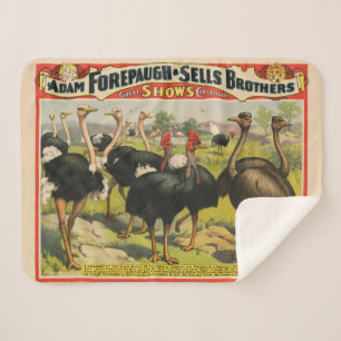 Couverture Sherpa Cirque vintage Montrant Des Ostriches Et De Grands