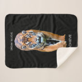 Couverture Sherpa Citation Motivationnelle Tiger Success Auto Improv (Devant (Horizontal))