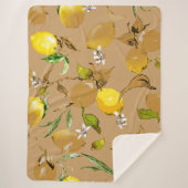 Couverture Sherpa citrons d'aquarelle 33 (Devant)