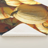 Couverture Sherpa Citrouille Patch Fun sur un (3/4)