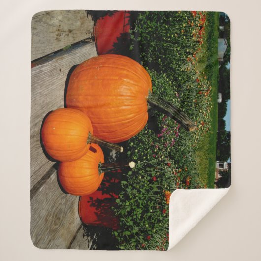 Couverture Sherpa Citrouilles d'automne et mamans (Devant)
