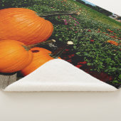 Couverture Sherpa Citrouilles d'automne et mamans (3/4)