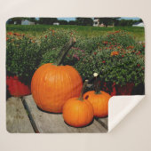Couverture Sherpa Citrouilles d'automne et mamans (Devant (Horizontal))