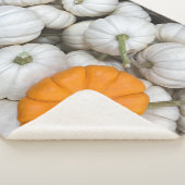 Couverture Sherpa Citrouilles fantômes avec un orange sournois (3/4)