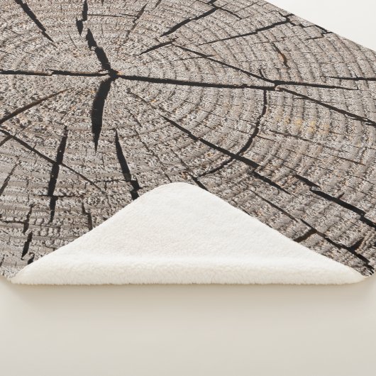 Couverture Sherpa Close up gray background texture of old weathered (3/4)