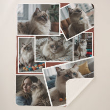 Cluster photo Brown - 7 photos éparpillées