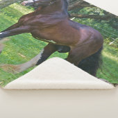Couverture Sherpa Clydesdale Horse (3/4)