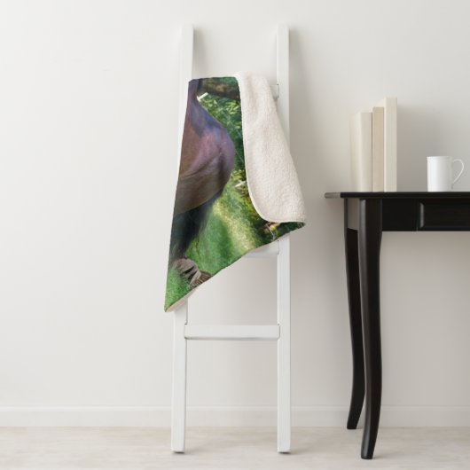 Couverture Sherpa Clydesdale Horse (En situation)