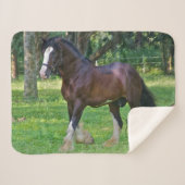 Couverture Sherpa Clydesdale Horse (Devant (Horizontal))