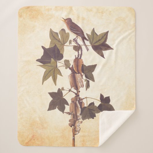 Couverture Sherpa Colibri Audubon Traill (Devant)