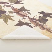 Couverture Sherpa Colibri Audubon Traill (3/4)