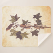 Couverture Sherpa Colibri Audubon Traill (Devant (Horizontal))