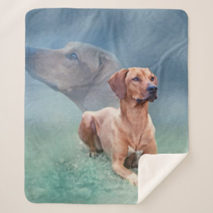 Couverture Sherpa Collage de chien de Rhodesian Ridgeback