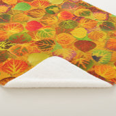 Couverture Sherpa Collage Feuille en peuplier massif transparent 1 (3/4)