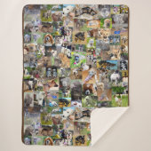 Couverture Sherpa Collage Photo De Chiens, (Devant)