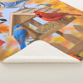 Couverture Sherpa Collecte d'oiseaux d'automne (3/4)